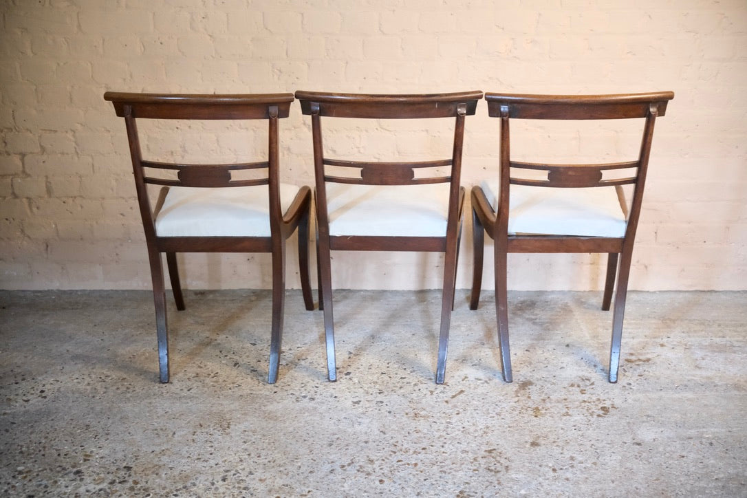 REGENCY SABRE LEG BRASS INLAID DINING CHAIRS - Sophie Alliott | Artist in London | Framed Form & Sculptures